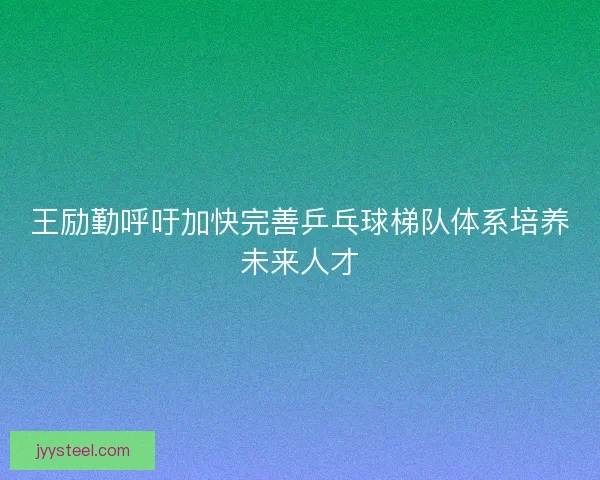 王励勤呼吁加快完善乒乓球梯队体系培养未来人才 王励勤呼吁加快完善乒乓球梯队体系培养未来人才